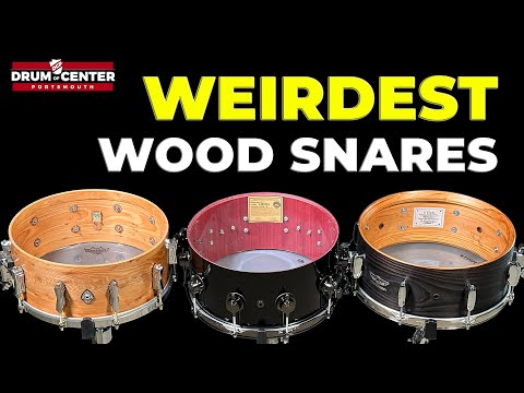 Weird Wood Snare Drums | 6 Exotic Shells Compared!