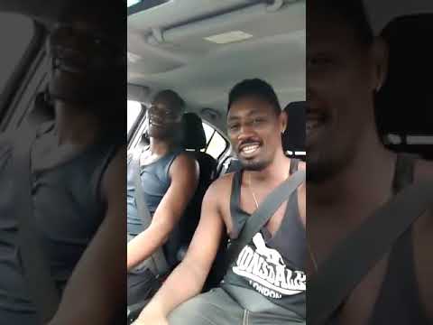 King Lion Sounds Family