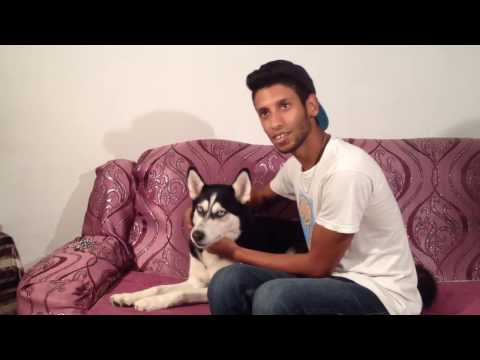 وقتلي تحسب روحك ماتخافش ملكلاب و إنت أكبر خواف 😂😂😂