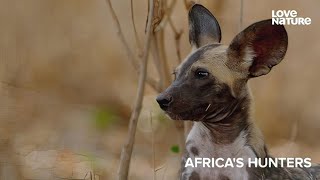 Love Nature Afrika'nın Avcıları 2  Bölüm Africa's Hunters 1080p TR Dublaj