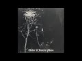 Darkthrone - Crossing The Triangle Of Flames