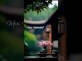 Tera Mera Hai Pyar Amar WhatsApp Status Video Jaane Tamanna Jaaane Adaa Meri Mohabbat Ka Har