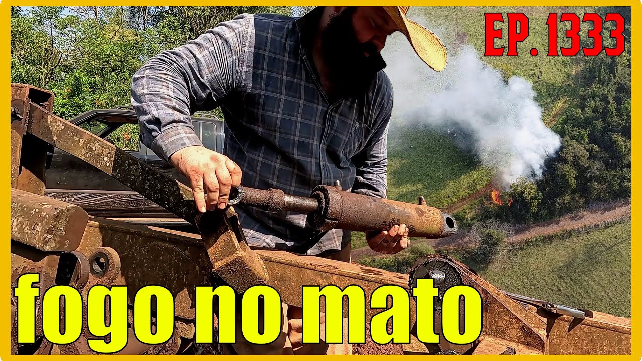 INCÊNDIO NO MATO DO VIZINHO