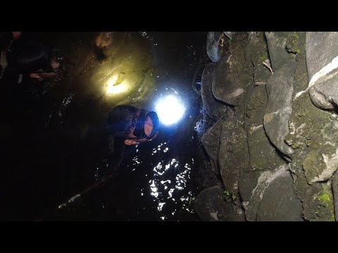 SE02EP102 Part 2 - Ang MADULAS na PALOS PINALITAN ng MALAKING DALAG | San Pablo City, Laguna