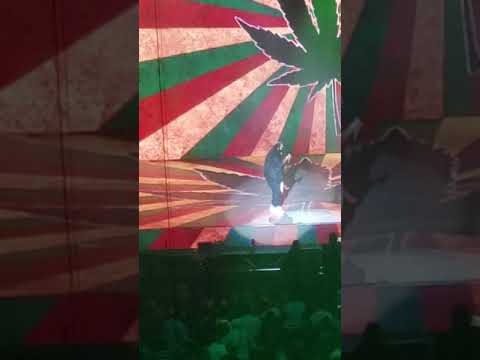 Acho Puñeta Gomba jahbari FT farruko En vivo Choliseo de puerto Rico Jose miguel agrelot