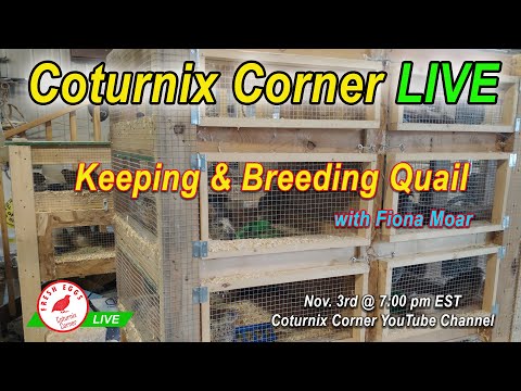 , title : 'Coturnix Corner LIVE - Keeping & Breeding Quail with Fiona Moar'