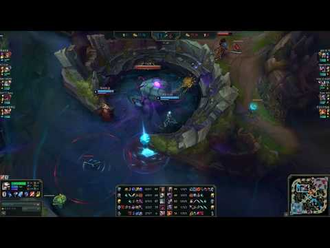 KZ Cuzz Camille Jungle 8.6