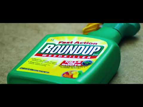 Tagesdosis 15.05.2019 - Roundup your mind! (kV)