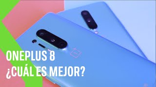 OnePlus 8 vs OnePlus 8 Pro: ¿Cuál me compro?