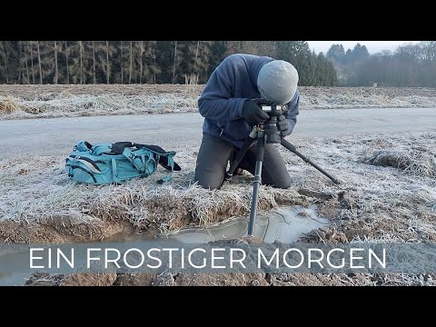 Naturfotografie | Ein frostiger Morgen in der Heimat