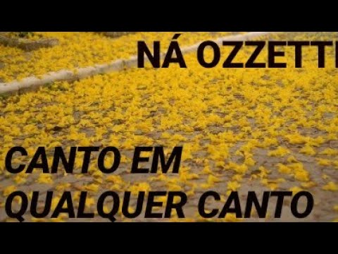 Ná Ozzetti - Canto Em Qualquer Canto