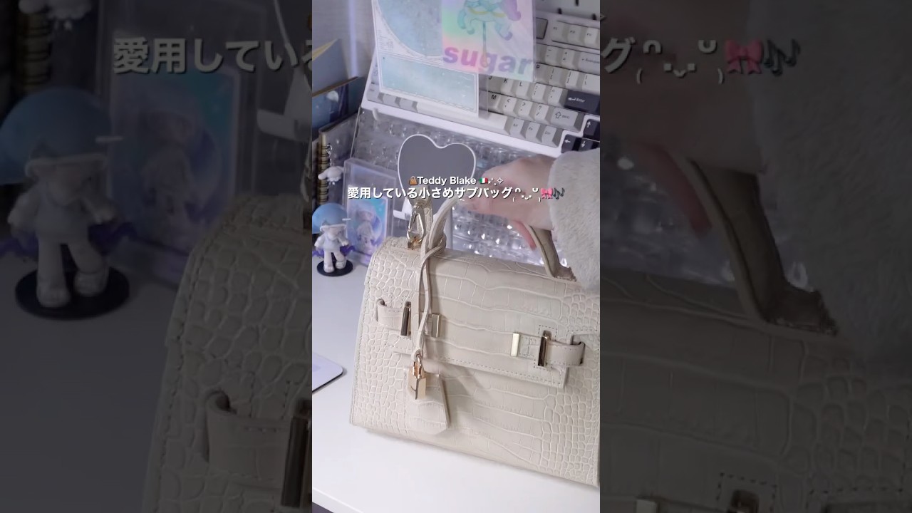 愛用中のサブバッグ👜🤍⁎✧ヲタ活にも使う🕺🏼🎶 #teddyblake