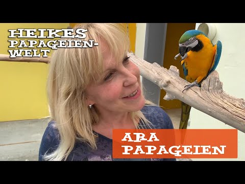 Heike Mundt über Haltung und Ernährung von Ara Papageien