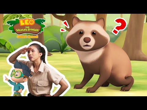 Witness21  2023 01 14