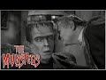 Bats And The Bees The Munsters