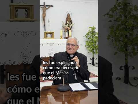 "Si sigues a Jesucristo, tienes que pasar por la cruz para llegar a la gloria"