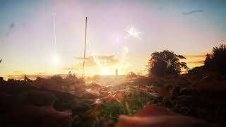 TOKYO POLICE CLUB - RUBBER BANDS