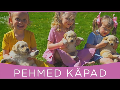PEHMED KÄPAD - Laulupesa lapsed