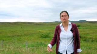 Crofting and the Clearances commissioned by The Golspie Inn Hotel 5 minutes from Dunrobin Castle