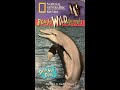 Opening To Really Wild Animals Deep Sea Dive 1994 VHS