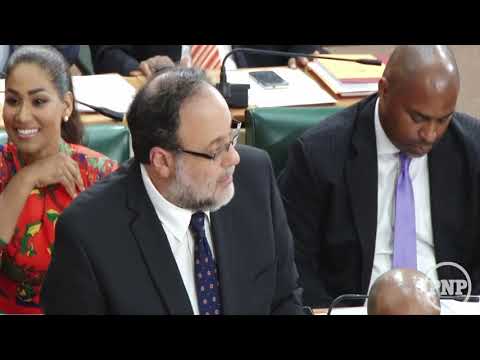 Mark Golding - Budget Presentation March 12 2019
