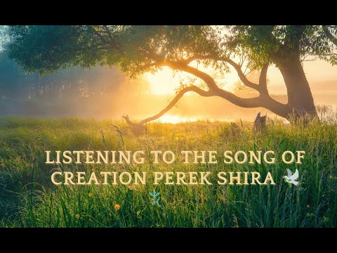 Listening To The Song of Creation- Perek Shira 🕊️