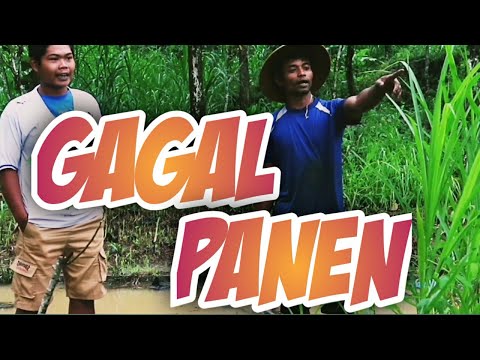 gagal-panen-film-pendek