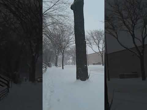 Tormenta de nieve en St cloud   Minesota