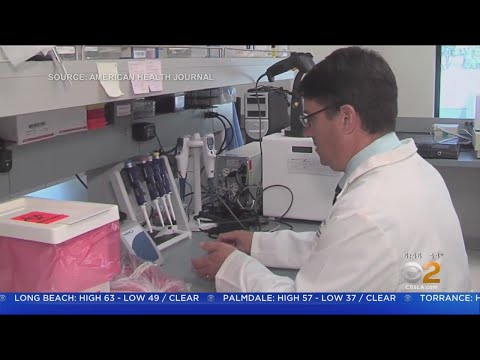 Infectious Disease Specialists: The Frontline Warriors Against