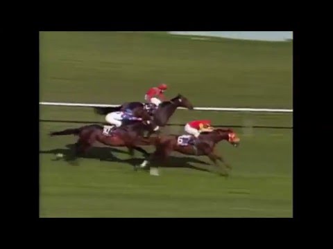 1997 Breeders' Cup Turf - Chief Bearhart