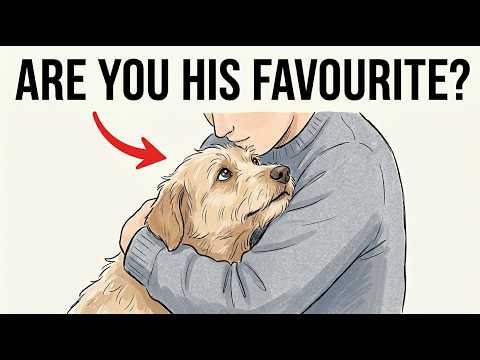 5 Things Dogs Do Only for Their Favourite Human