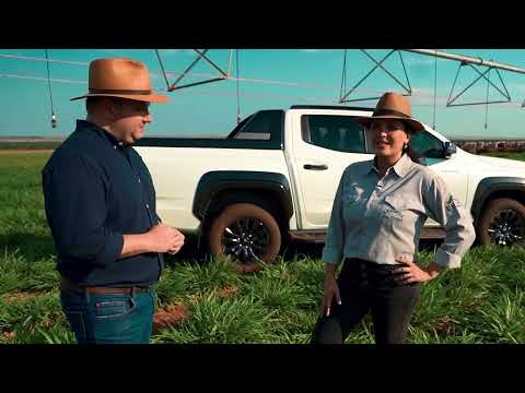 MULHERES ASSUMEM GESTÃO EM FAZENDA MODELO DE PECUÁRIA INTENSIVA; CONFIRA