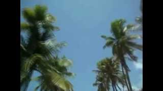 IT AIN'T NECESSARILY BIRD AVE.  Ben Champion Trio