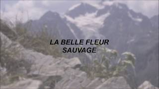 Lord Huron // La Belle Fleur Sauvage - Lyrics