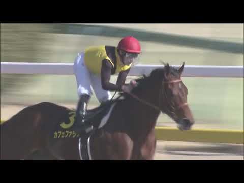 Cafe Pharoah (KY) wins race 9 at Tokyo 2/23/2020