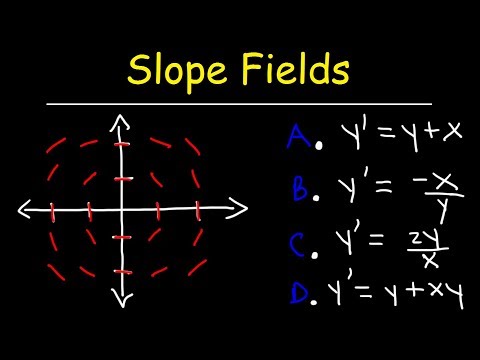 Slope Fields | Calculus