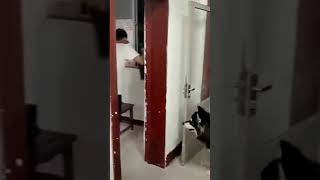 ☆Super Cute Animals☆Cute cats and funy dogs＆cat　videos compilation2021C㉚#Shorts