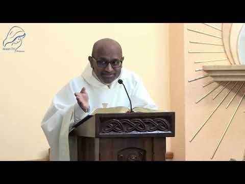 Fr. Leon Pereira | English Homily from Medjugorje | January 16, 2026 MaryTV