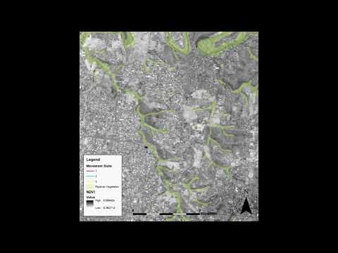 Movement of Powerful Owl in suburban Melbourne