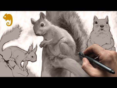 90MAC Life Drawing Class - SQUIRRELS