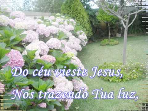 Cristo e Sua Humilhação - 481 - Harpa Cristã.mpg