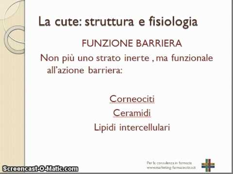 Come togliere posti di pigmentary su una faccia a gravidanza Apparizione di macchie scure su pelle