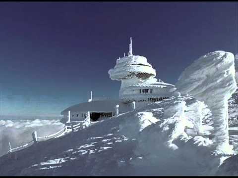 / Alix Perez & Zero T - Suffer In Silence / Shogun Audio / ( SHA029) / 1984 EP /