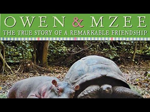OWEN & MZEE THE TRUE STORY OF A REMARKABLE FRIENDSHIP Journeys AR Read Aloud Fourth Grade Lesson 24