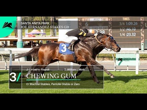 Coast to Coast Graded Horse Racing on New Year’s Eve 2 hqdefault