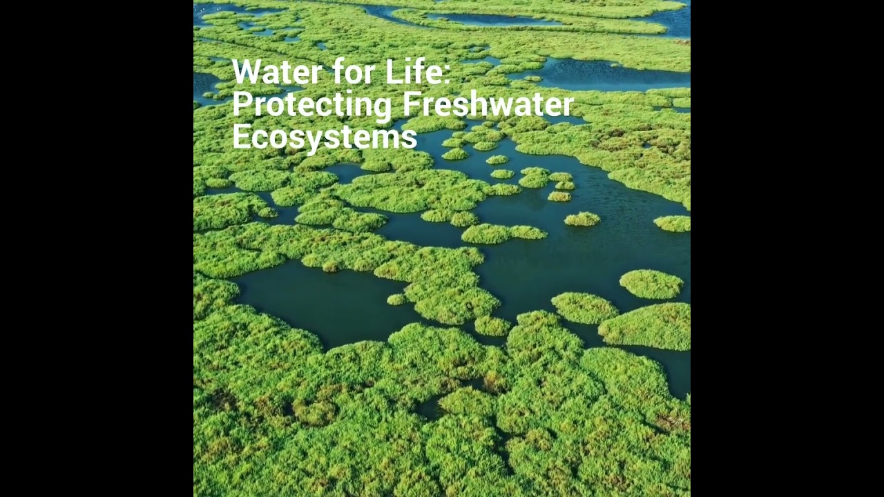 Seneca Impact Advisors | From Food Security to Coastal Restoration