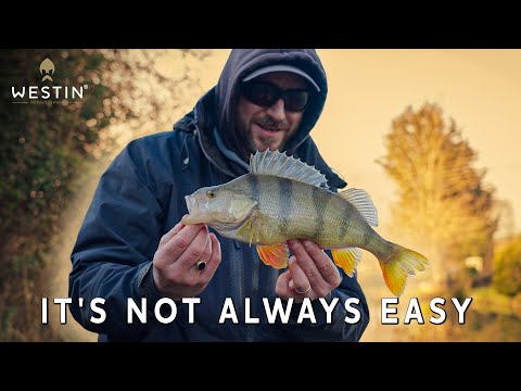 Perseverance pays off!! Thom Hunt UK perch fishing in canal