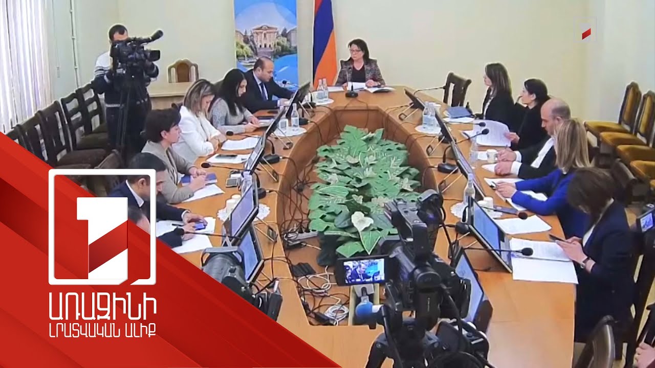 ԱԺ հանձնաժողովում ներկայացվել է սոցիալական ծրագրերի մասով Կառավարության ծրագրի 2021թ. կատարողականը
