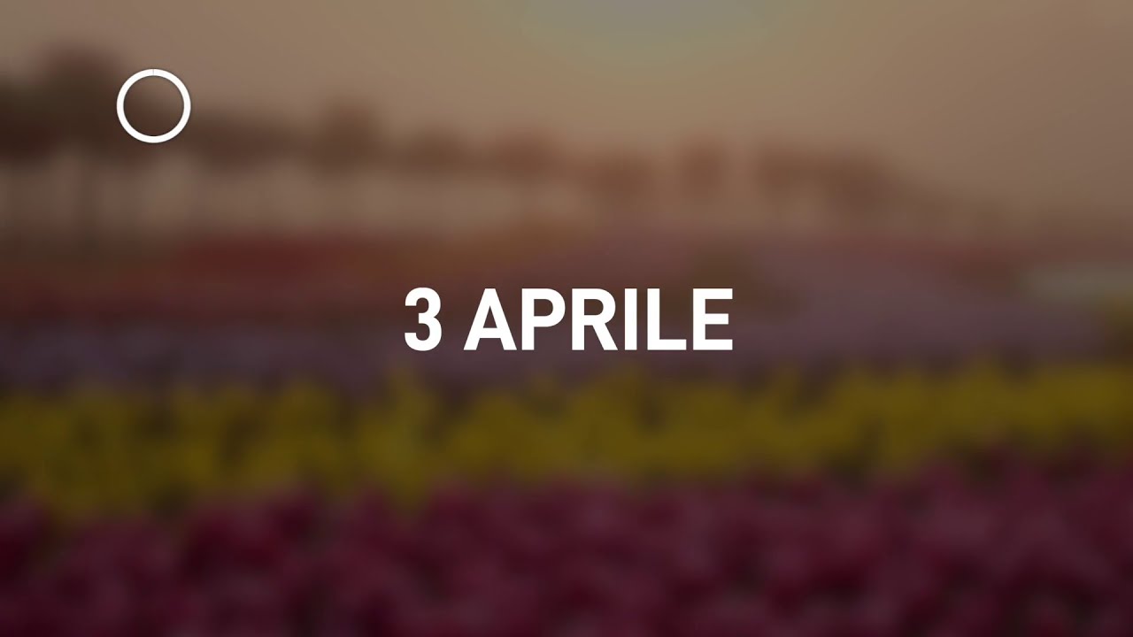 03 Aprile 2024 | Meditazione Parole di Vita