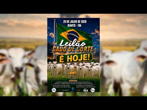 LEILÃO GADO DE CORTE ESTRELA DO AGRO LEILÕES  FAINA-GO 29/07/2026 | Leilão ao Vivo - Leilão de Gado